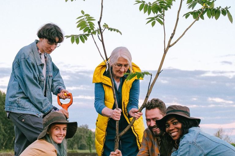 Volunteers plant a young tree together.